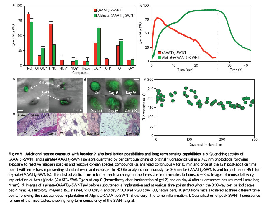 In-Vivo Implantable Sensors – Strano Research Group