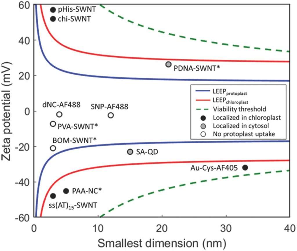 Research Area 1: Plant Nanotechnology – Strano Research Group