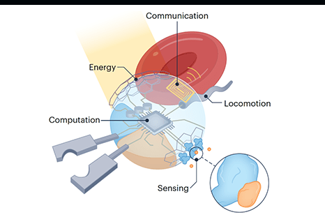 Colloidal Electronics and Robotics