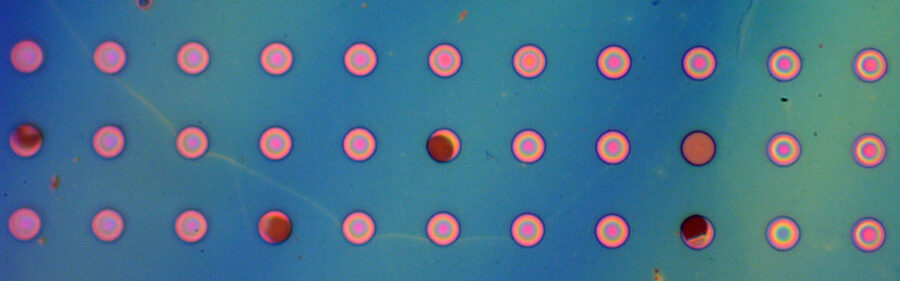 MIT-ImpermeableFilms-01-press_0