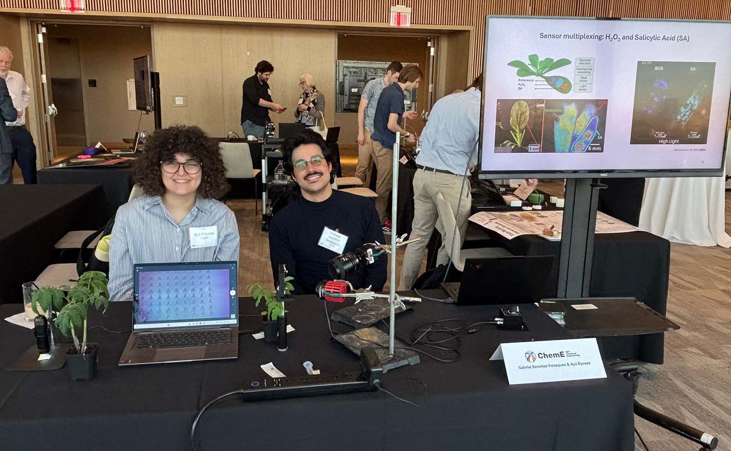 Strano Research Group – Department of Chemical Engineering at MIT